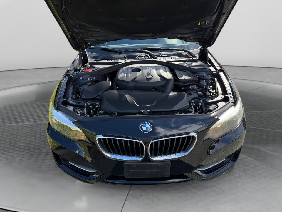 2017 BMW 230i 230i